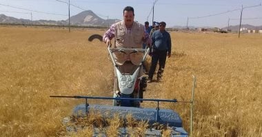 صور.."الشلاتين تجنى الخير"..مزارع وادى حوضين يحصد أول محصول للقمح والشعير