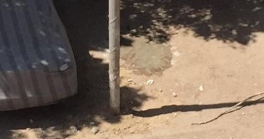 عمود الإنارة مائل ومش شغال.. شكوى أهالى شارع 9 بالمعادى