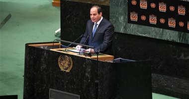 إشادة بدعم الرئيس السيسى للحوكمة الجيدة فى مصر وأفريقيا