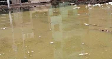 شكوى من انتشار مياه الصرف الصحى بمنطقة جديلة بمحافظة الدقهلية
