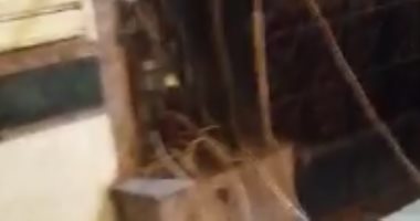 قارئ يشارك بفيديو سرقة الباعة الجائلين للتيار الكهربائى بميدان المطرية