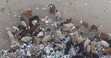 شكوى من انتشار القمامة بحدائق القبة
