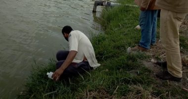 البيئة: ضبط مزرعة سمكية بدون ترخيص فى حملة بالتل الكبير
