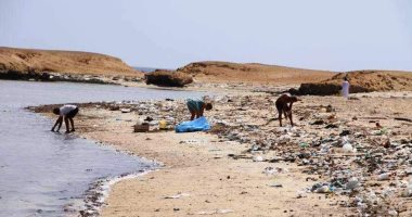 صور.. البحر الأحمر تبدأ تطبق تجربة الأكياس البديلة لحماية الحياة البرية والبحرية