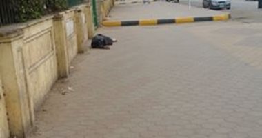 "إحنا معاك".. قارئ يشارك بصورة لطفل مشرد أمام مركز البحوث فى الجيزة
