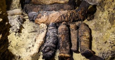 شاهد.. ديلى ميل تلقى الضوء على بث قناة ديسكفرى عرضا لـ مقبرة فرعونية