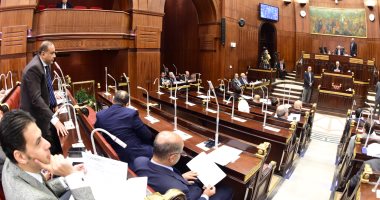 لجنة العلاقات الخارجية بالبرلمان تناقش قضية مكافحة الهجرة غير الشرعية