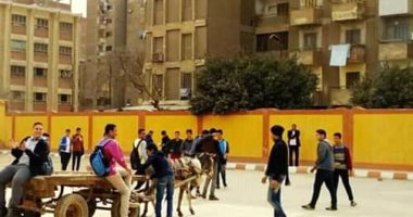 عربة كارو داخل مدرسة حكومية بحلوان