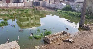 اضبط مخالفة.. غرق شوارع قرية الشهيدى فى المحلة بالصرف الصحى