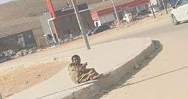 إحنا معاك ..مشرد بطريق السخنة فى حاجة لمساعدة فرق إنقاذ وزارة التضامن