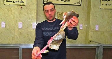 كفر الشيخ.. قلعة صناعة الفسيخ