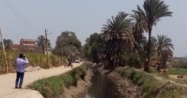صور.. رى أسوان تجرى صيانة للمجارى المائية وتراجع موقف الجسور 
