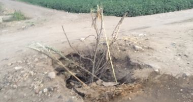 صور.. جذوع أشجار بديلة لأغطية بيارات الصرف الصحى بالطريق الرئيسى بالسنطة