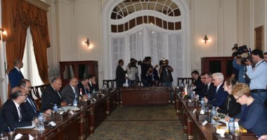 وزير الخارجية: بحثت مع وزير خارجية بولندا تطورات الأوضاع فى ليبيا والسودان 
