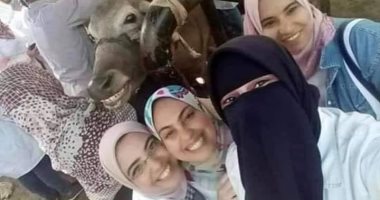 سيلفى الجاموسة الضاحكة يثير إعجاب رواد فيس بوك