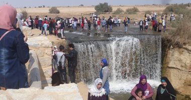 صور.. البيئة: محمية وادى الريان تستقبل 3938 طالبًا من 6 جامعات