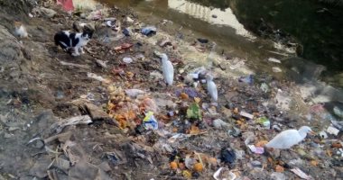 مواطن يشكو من إلقاء القمامة فى ترعة قرية "البلاكوس" بكوم حماده