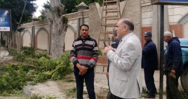تطوير مبنى الاستاد بالإسكندرية استعدادًا لكأس الأمم الإفريقية