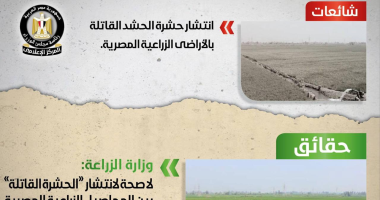 بالإنفوجراف.. الحكومة تنفى 13 شائعة ×7 أيام.. لاصحة لتعرض مصر لأزمة اقتصادية حادة.. رفع سعر أسطوانة البوتاجاز المنزلية لـ150 جنيها لا أساس لها من الصحة.. وإخفاء أثار المخدرات بأقراص منع الحمل أو الخل غير صحيح