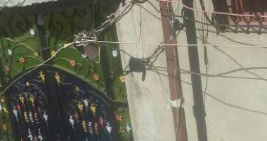 شكوى من تهالك عامود إنارة بقرية السخاوى بكفر الشيخ 