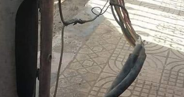 اضبط مخالفة.. كابلات كهرباء عارية تهدد حياة الأهالى بكفر الزيات