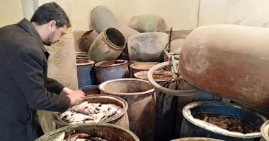 ضبط 5 أطنان فسيخ وأسماك غير صالحة للاستخدام الآدمى فى طوخ 