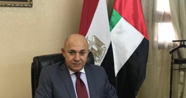سفير مصر بالإمارات: الاستفتاء على تعديل الدستور بالبطاقة ولو كانت منتهية