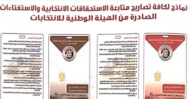 تعرف على من له حق الدخول لمقر اللجان الانتخابية خلال عملية الاستفتاء