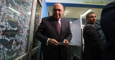 وزير الخارجية: التعديلات الدستورية مهمة فى أى مجتمع ولا يوجد شىء ثابت