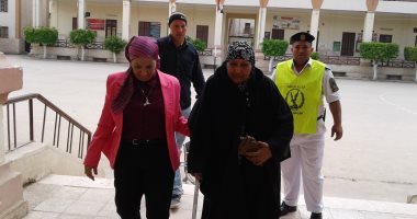 صور.. رئيسة لجنة بالمنوفية تساعد مسنة على كرسى متحرك لدخول اللجنة للتصويت