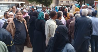 صور ..إقبال كبير من الوافدين للتصويت في الاستفتاء بلجان عين شمس 