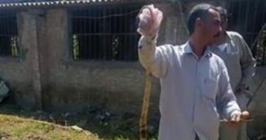 الثعابين بقرية ميت برة فى المنوفية تهدد الأهالى