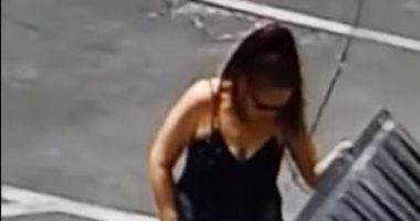 فيديو وصور.. الشرطة الأمريكية تبحث عن سيدة بسبب 7 كلاب ..يا ترى عملت إيه؟
