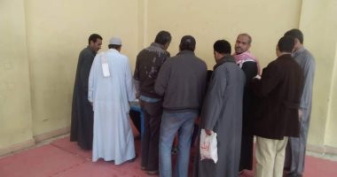 إقبال المواطنين على لجنة المغتربين بالإسكندرية فى اليوم الثانى للاستفتاءـ صور