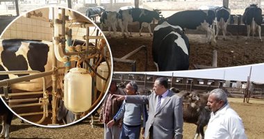 الطب البيطرى بالقليوبية: نعمل على التوسع فى مشروعات خدمية لتطوير الثروة الحيوانية