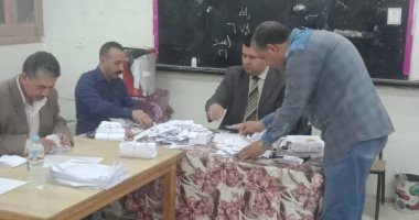 بدء أعمال فرز الأصوات باللجان الفرعية فى الاستفتاء على الدستور بالقليوبية