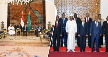 نص البيان المشترك للقمة التشاورية للشركاء الإقليميين للسودان