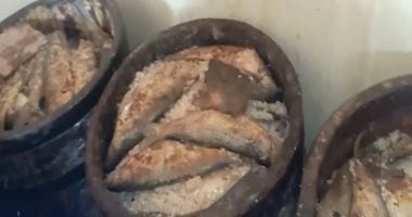 ضبط 1350 كيلو فسيخ غير صالح للاستهلاك الآدمى داخل مخزن بإدكو بالبحيرة