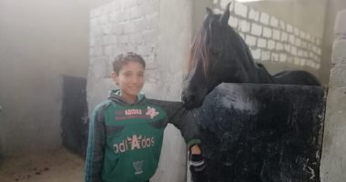 أصغر مدرب فى "واحة الخيول" بالفيوم.. آدم "10 سنوات" يصاحب الخيل ويعلمها الرقص.. ويؤكد: بعرفهم من نظرة عينيهم ولكل واحد اسم معين.. وبسيطر عليهم وقت غضبهم.. ومكافأة سكر وبطاطا تشجيعًا للمتميز