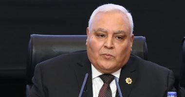 بروتوكول تعاون بين الوطنية للانتخابات و"الصحة" لاستخدام قاعدة بيانات الناخبين