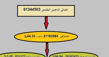 إنفوجراف.. كيف يتم حساب نسبة الأصوات الصحيحة والباطلة والمشاركة بالاستفتاء؟