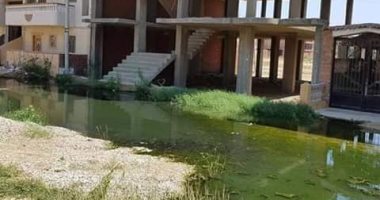 قارئ يشكو الصرف الصحى بـ15 مايو بجمصة ويطالب بتوفير مواصلات