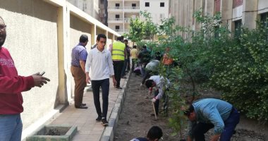 ‎البيئة تشارك فى مبادرة "شجّرها" بزراعة الأشجار فى المدارس