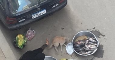قارئة تشكو انتشار الباعة الجائلين بشارع رئيسى على كورنيش حدائق حلوان
