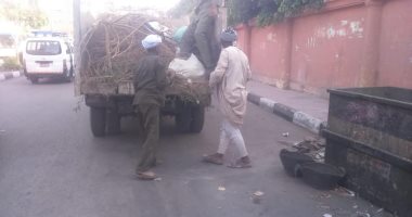 صور.. رئيس مدينة الأقصر: رفع 2 طن قمامة والمحافظة على ممرات ذوى الإحتياجات الخاصة