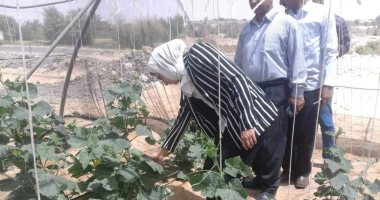 صور.. نائب محافظ الوادى الجديد تتفقد مشروع تدوير مخلفات النخيل بقرية الدهوس بالداخلة