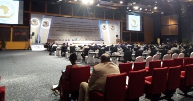 وفد جنوب أفريقيا: مجتمعنا مر بفترات انتقالية والعنف يحدث فى العشوائيات فقط