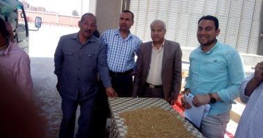 صور .. صومعة منوف تبدأ فى استلام القمح المحلى