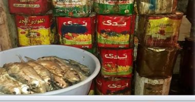 صور.. شرطة التموين تضبط 126 طن فسيخ فاسد قبل ترويجه بشم النسيم
