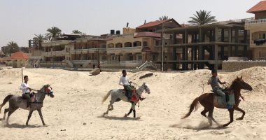 صور.. الخيول تجمل شاطئ العريش فى  شم النسيم